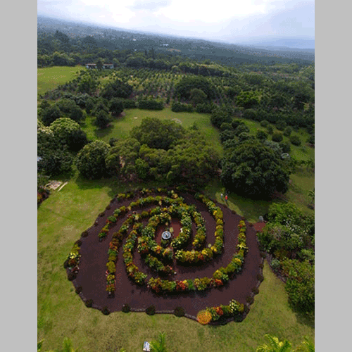 Galaxy Garden aerial view - Kite Aerial Photography by Pierre and Heidy Lesage