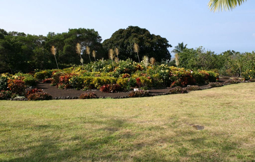 Le jardin galactique vu du sol, photo de Jon Lomberg