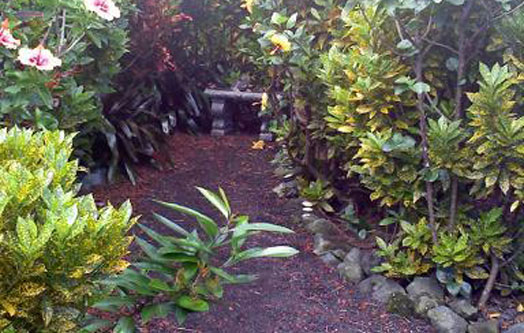 Vue intérieure du jardin galactique, photo de Jon Lomberg